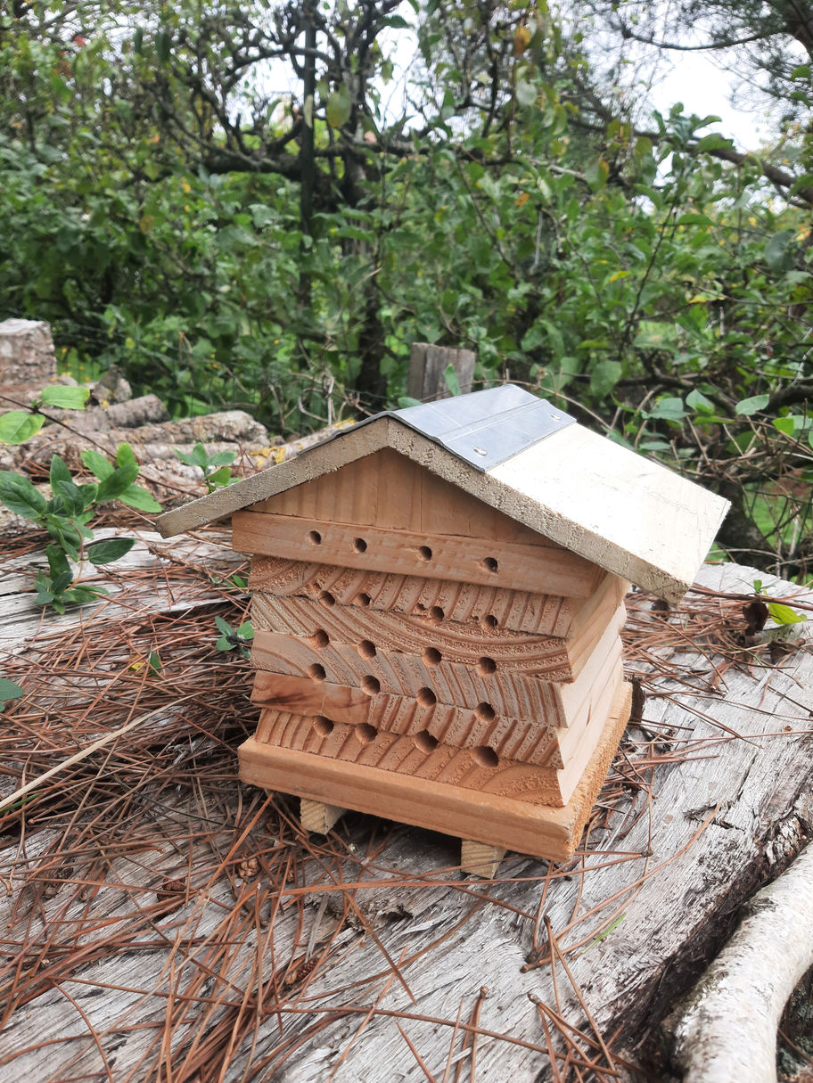 Abri a insectes en bois, photo publique Yack Paysage a confirmer