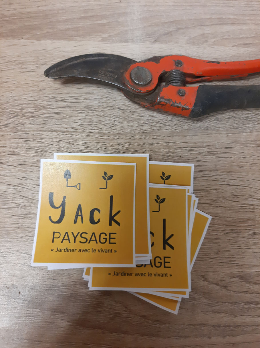 Secateur et cartes Yack Paysage, photo publique a confirmer